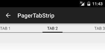 PagerTabStrip screenshot